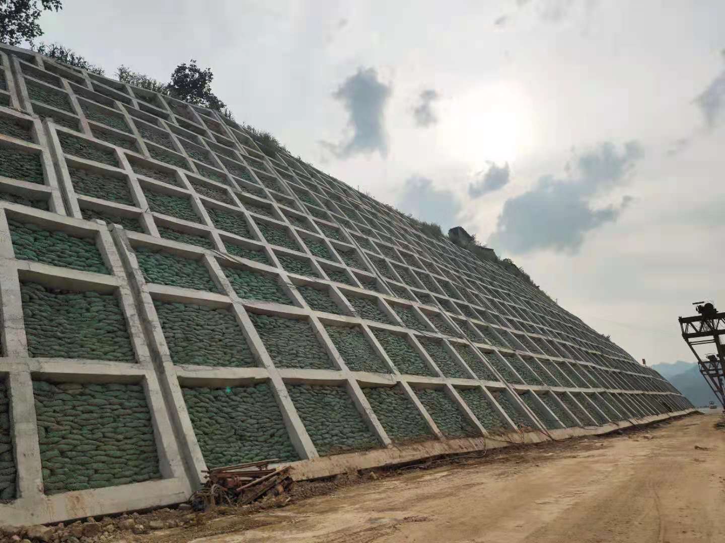 保定黃龍高速公路綠化1標段